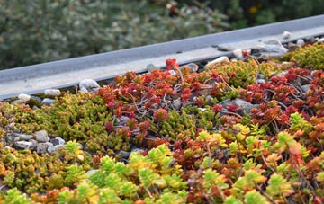 the cost of Horninghold green roof installation