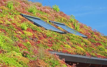 Horninghold living roof systems
